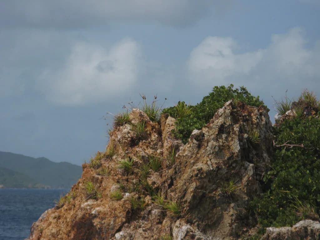 Snorkeling The Indians, BVI: Reef Layout, Fish and How to Get There