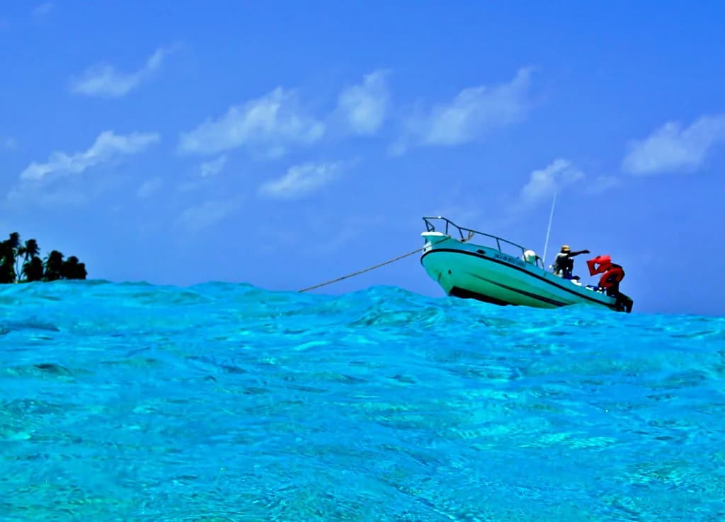 Turneffe Atoll Snorkeling Guide: Belize Reefs & Day Trips