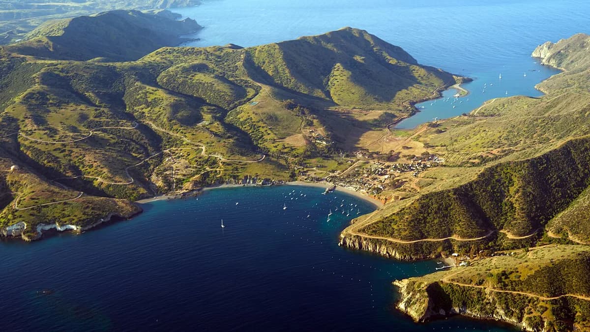 Two Harbors Snorkeling on Catalina: Reefs & Shore Spots