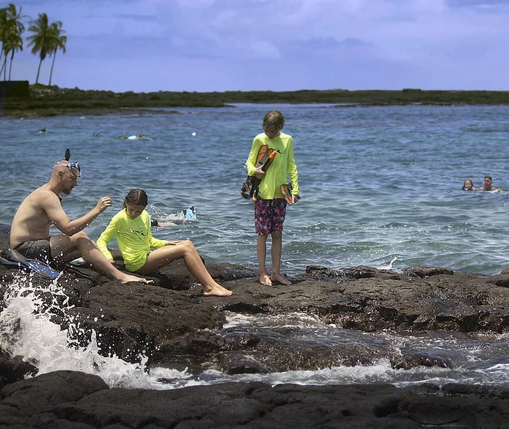 Two Step Snorkeling on Big Island: Entry & Reef Guide