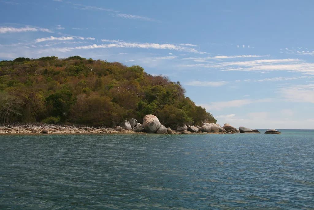 Vieques Snorkeling: Shore Entries, Reefs and Tour Options