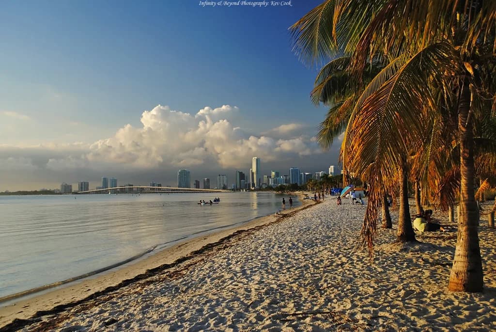 Virginia Key Snorkeling: Shore Entry, Reefs and Boat Trips