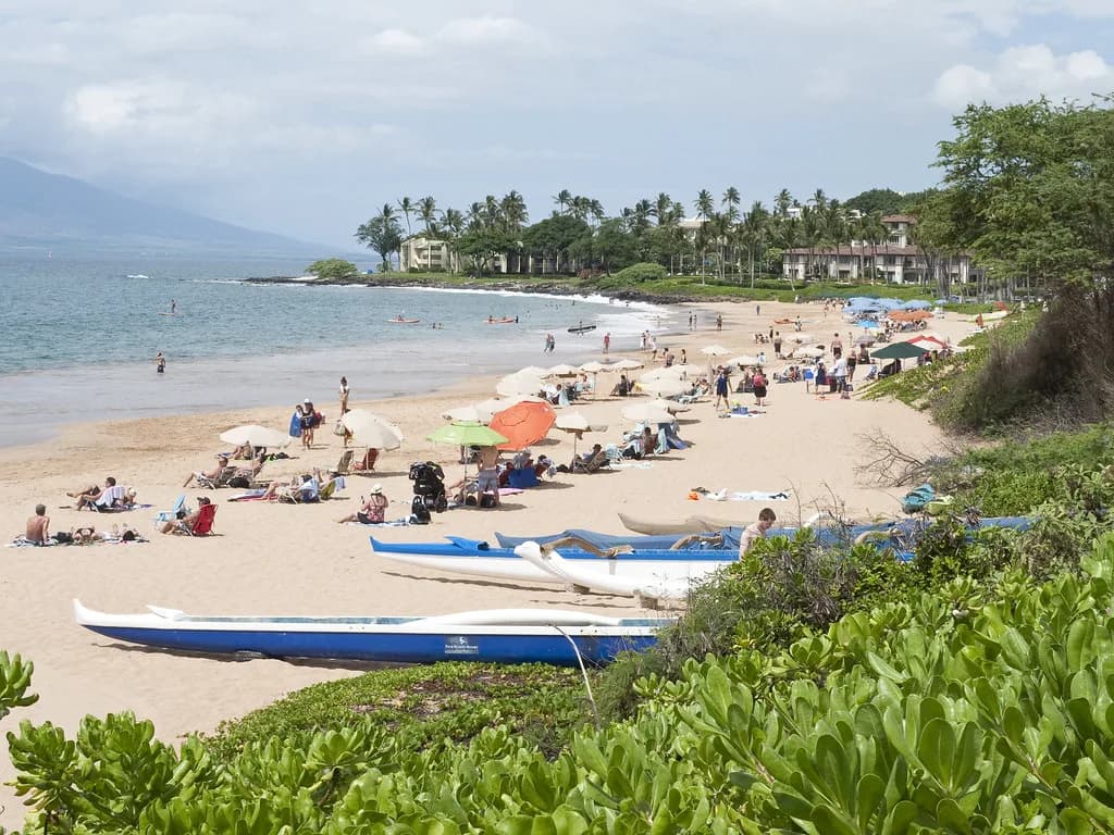 Wailea Snorkeling: Best Beaches, Reef Access and Timing