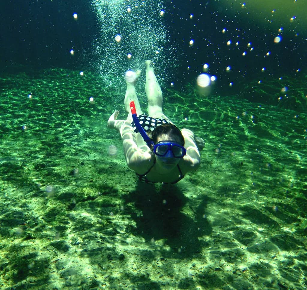 Wekiwa Springs Snorkeling: Your Florida Springs Guide