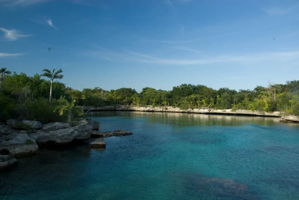 Xel-Há Snorkeling Guide: Plan Your Playa del Carmen Day
