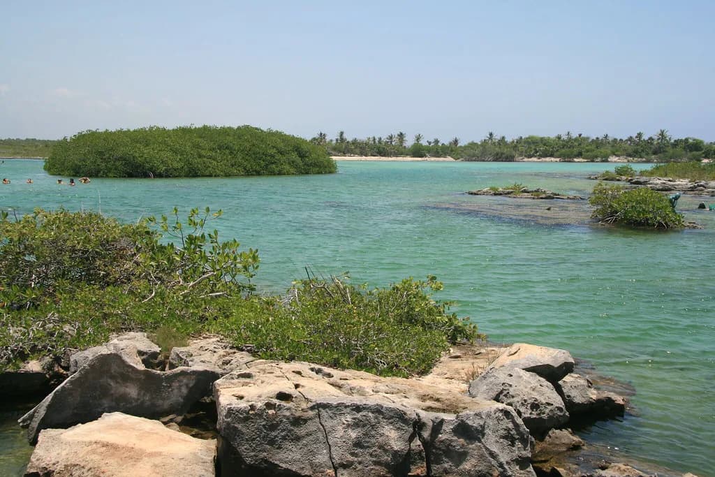 Yal-Ku Lagoon Snorkeling Guide: Depth, Entry and What You'll See