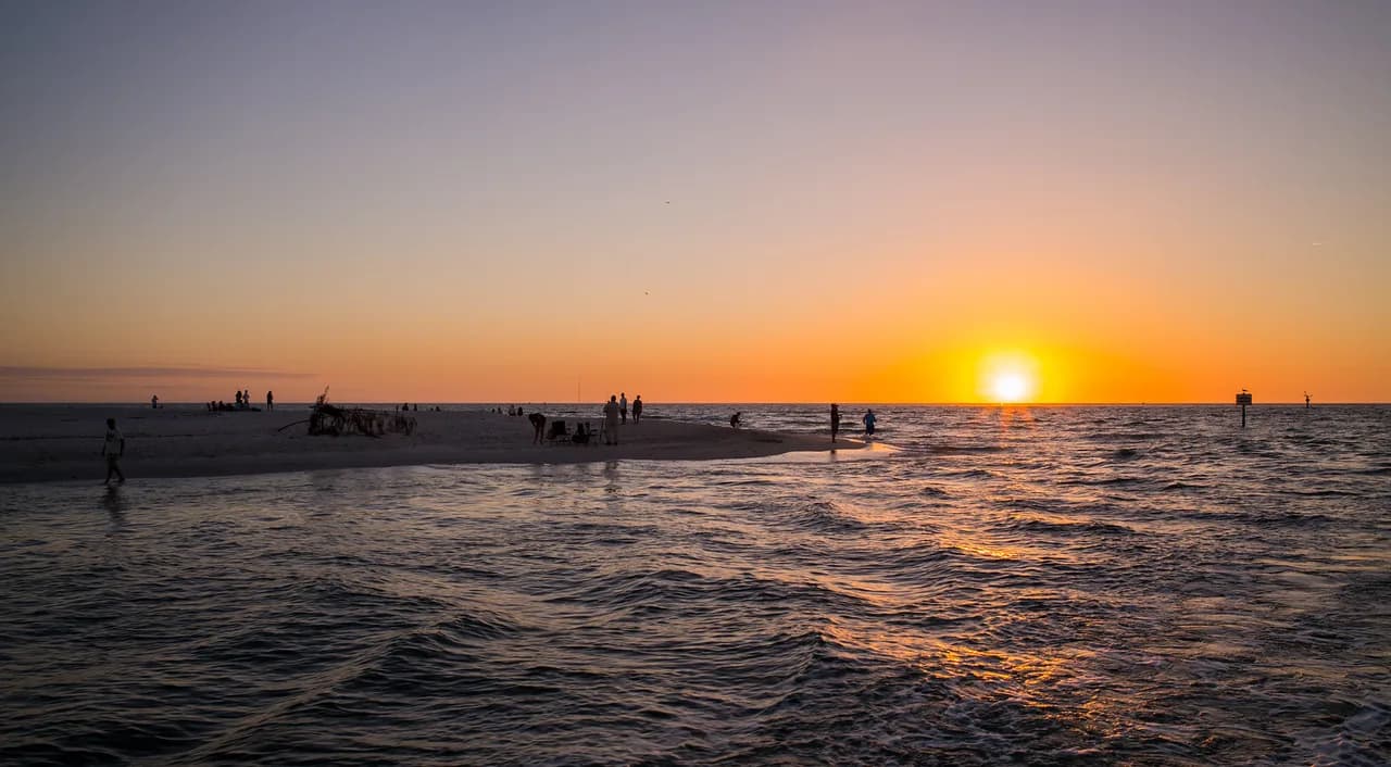 Delnor-Wiggins Snorkeling Guide: Naples Reef Tips