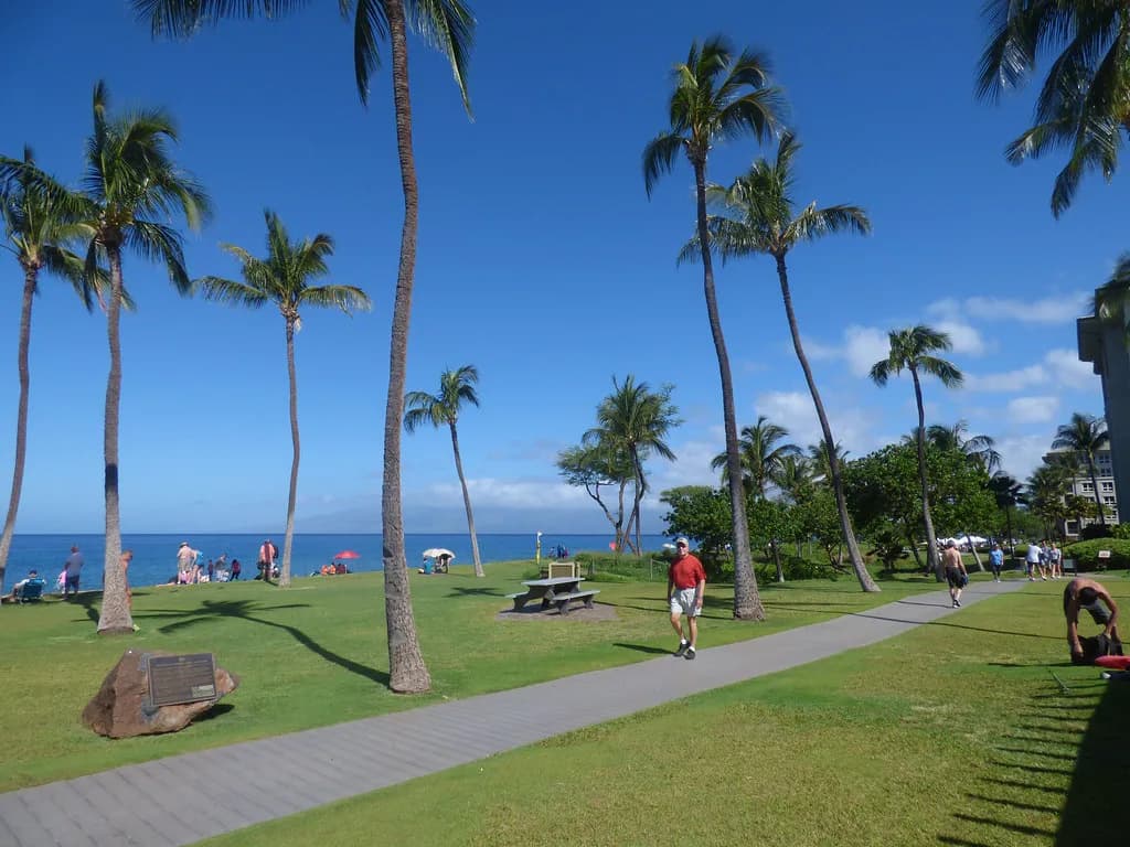 Kahekili Beach Snorkeling: Maui Reef Entry, Depth and Tips