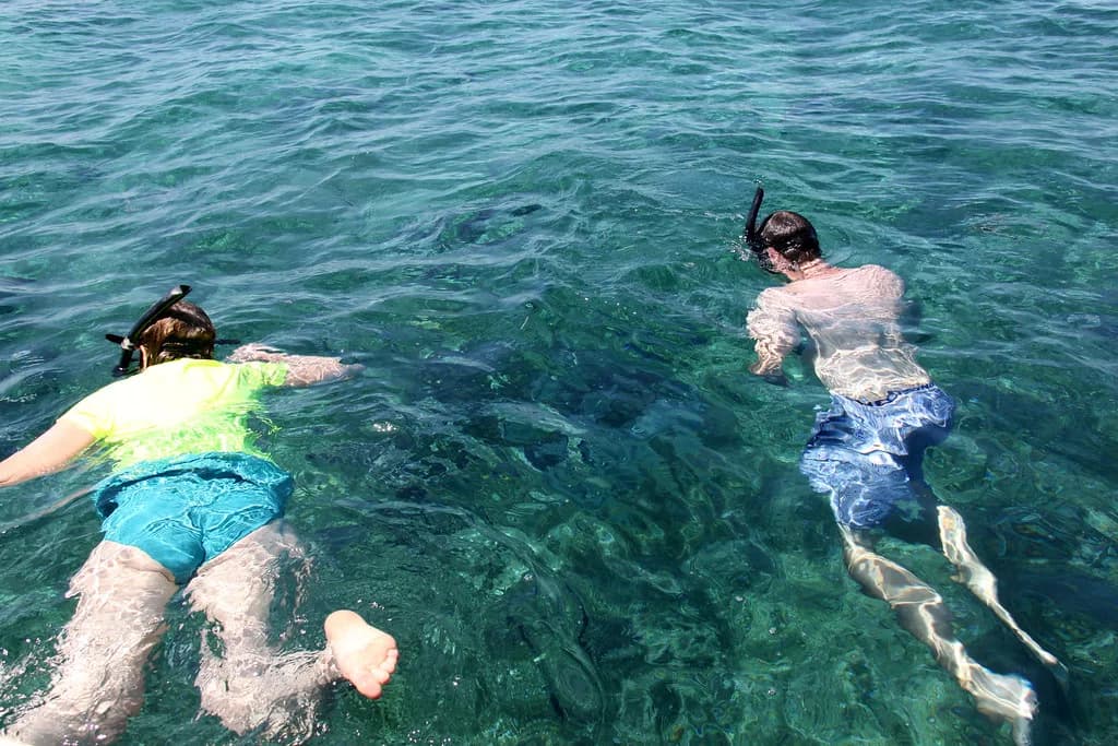 Snorkeling Mexico Rocks, Belize: A Shallow Reef Guide