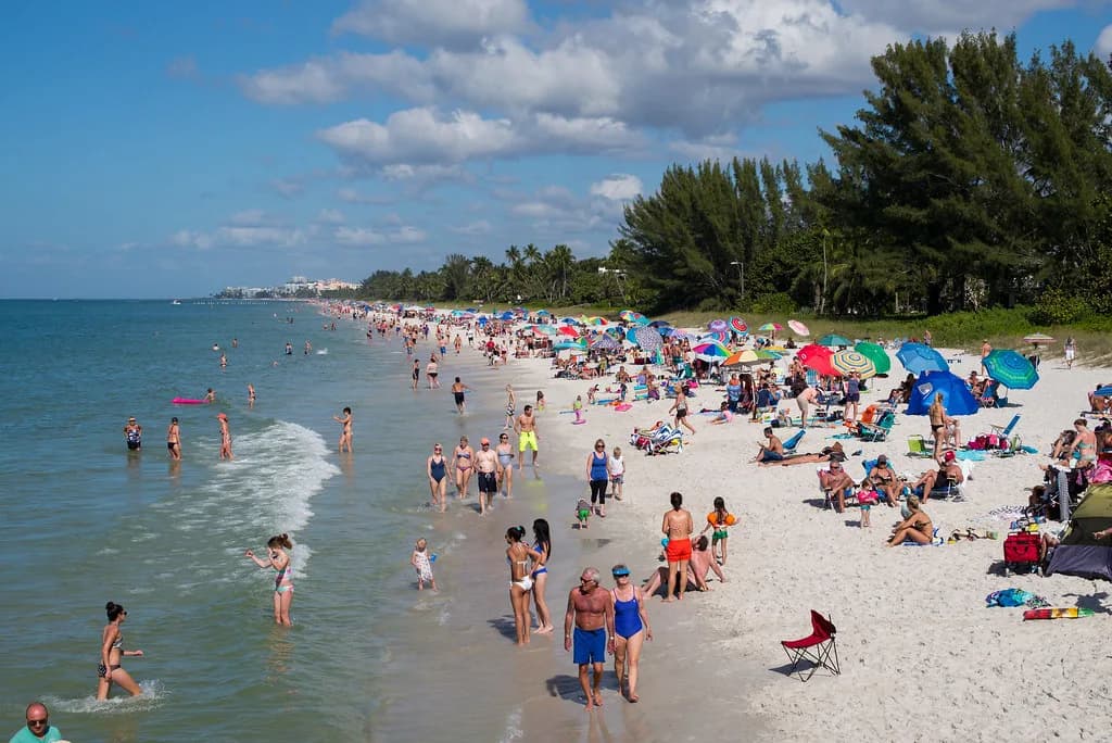 Snorkeling in Naples, Florida: Shore Spots & Reefs Guide