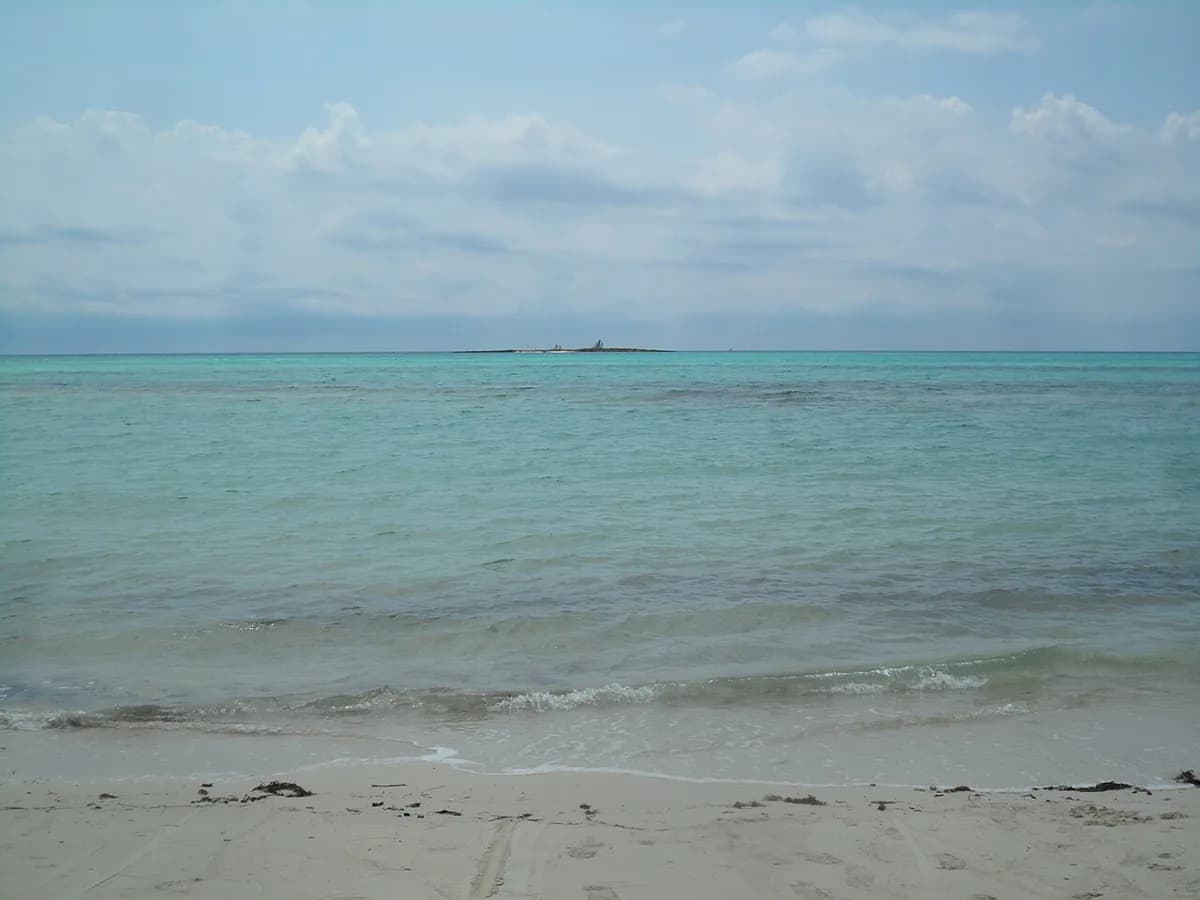 Snorkeling Peterson Cay, Grand Bahama: Reef, Entry and Rules