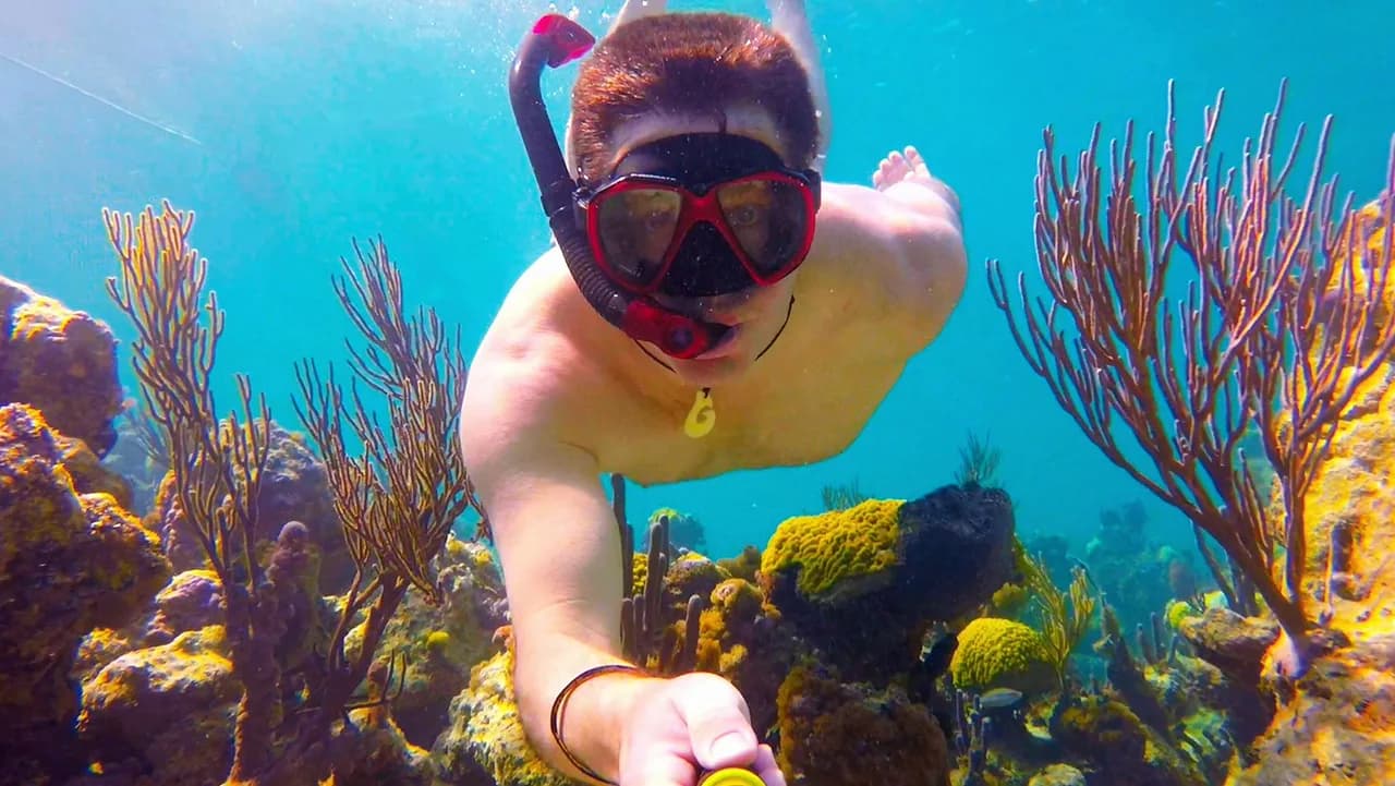 Turks and Caicos Snorkeling Tours: Which Trip to Book