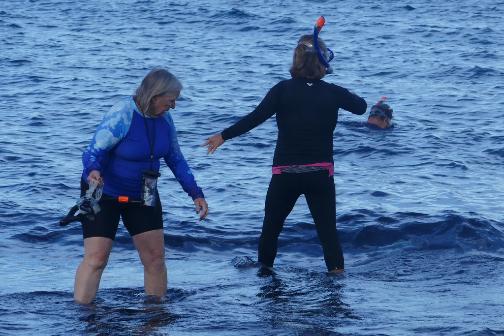 29 March--Snorkeling at Ahihi-Kinau Nature Preserve with Annie Schultz Sierra Club, Maui