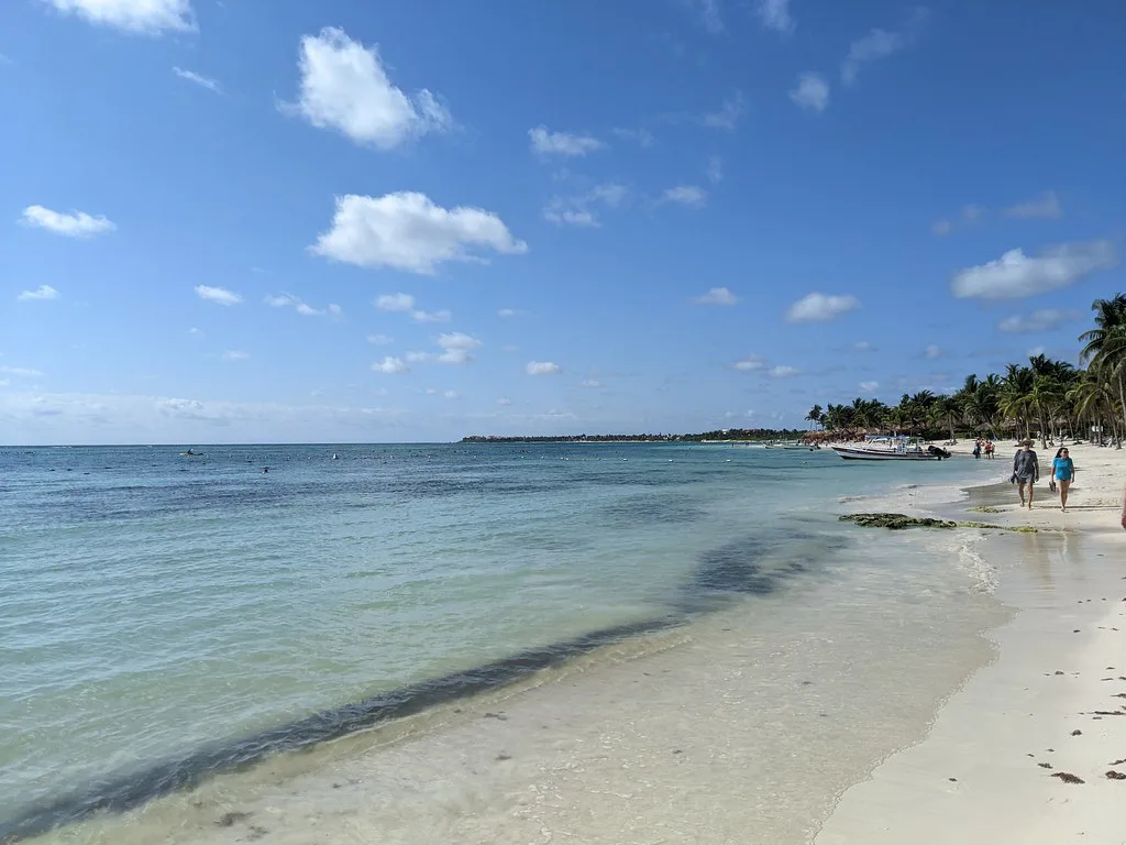 Snorkelling for turtles off Akumal beach, Playa del Carmen