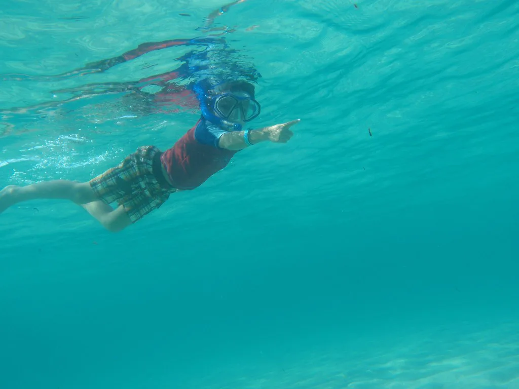 Bimini Snorkeling, Bahamas