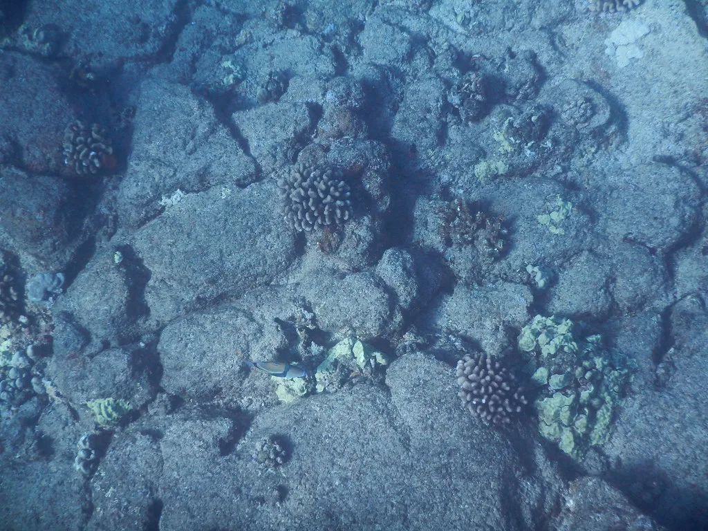 Kauai, Snorkeling, South Shore