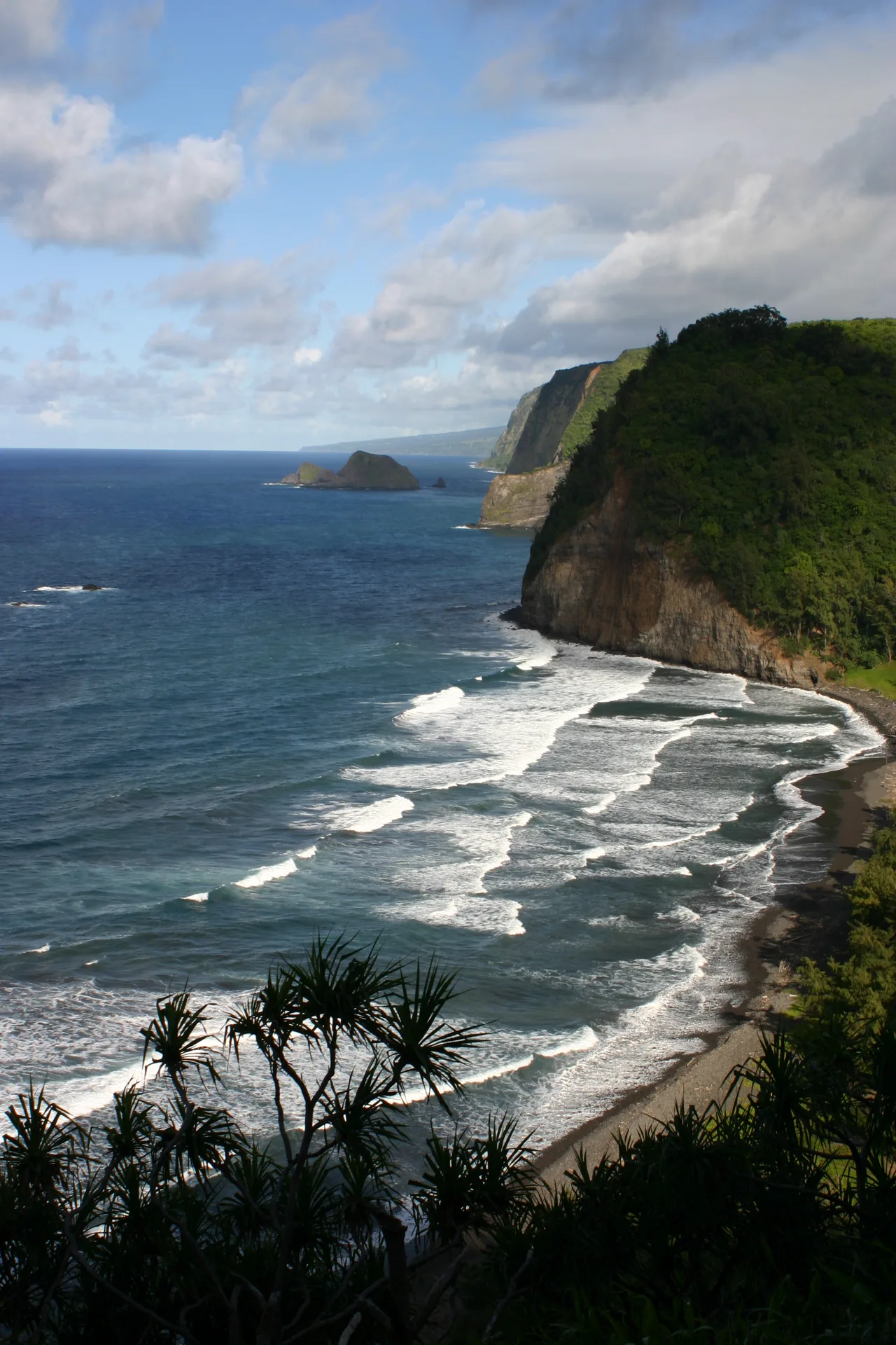Surf rolling onto the Big Island coast
