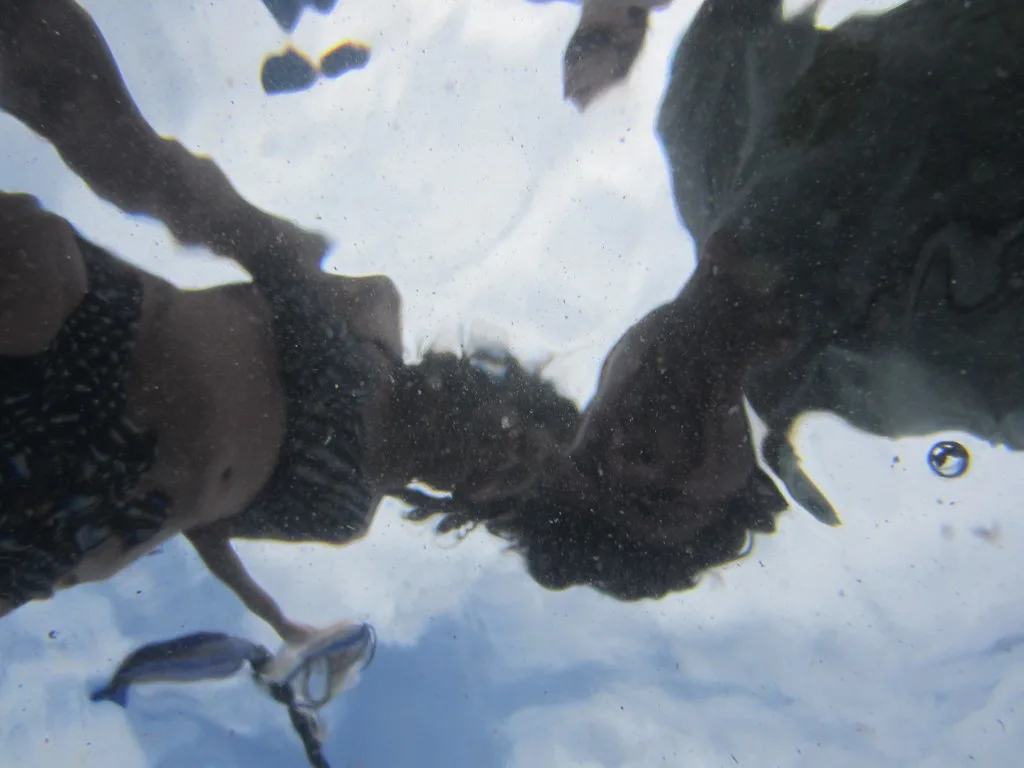 Hawaii / Big Island: Snorkeling at Kahaluu Bay
