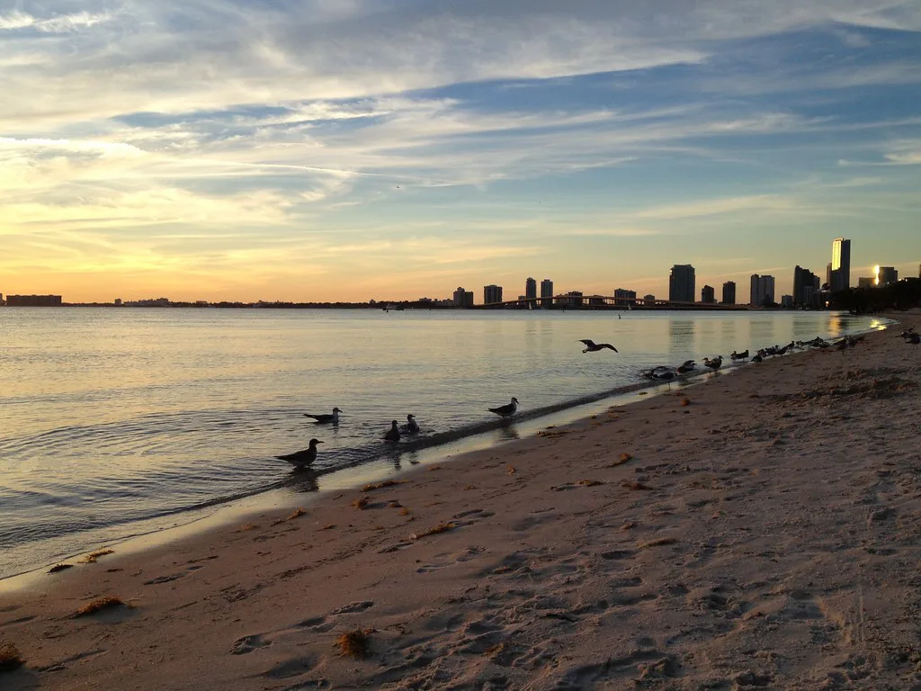 Miami Skyline from Key Biscayne Beach