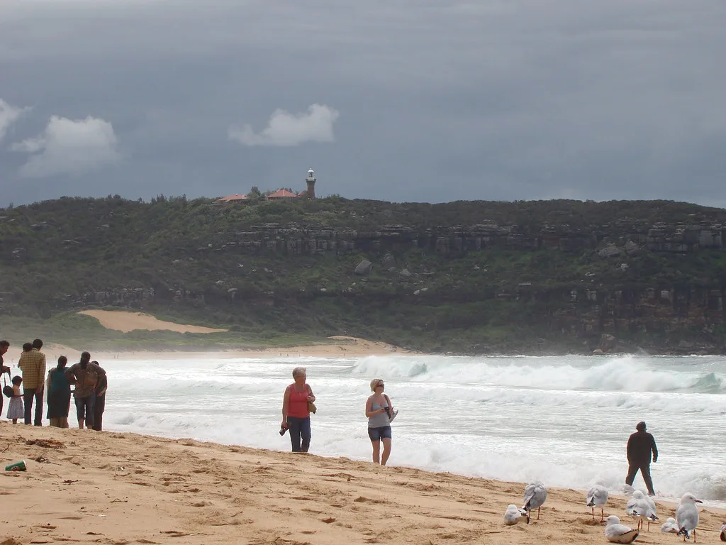Palm Beach Sydney