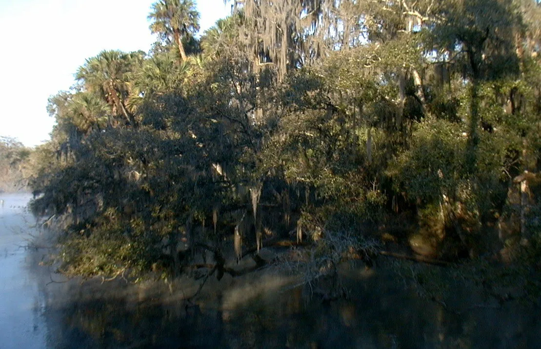 Where the Blue Spring run meets the St. Johns River, Blue Spring State Park, Florida