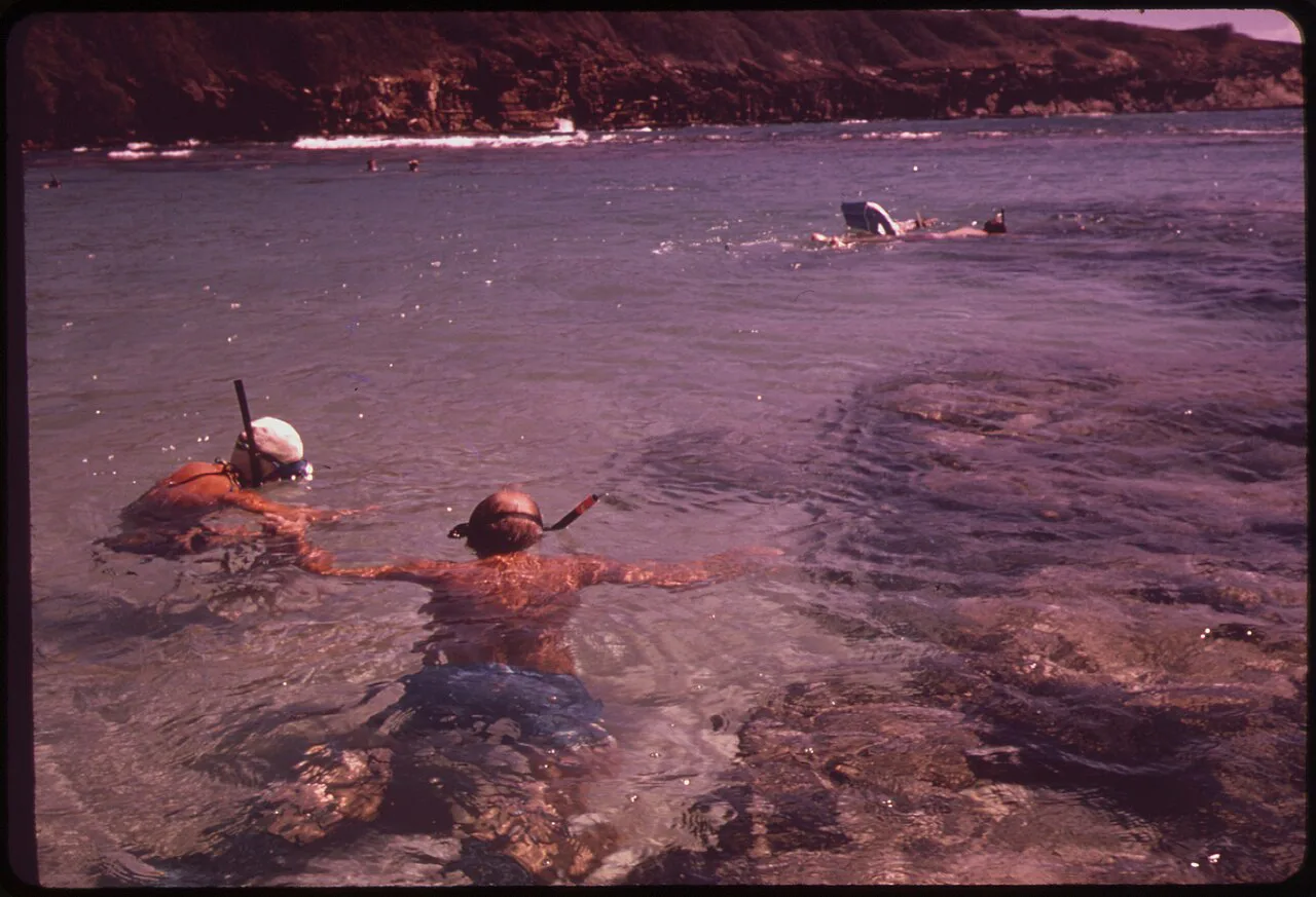 Snorkelers in Hanauma Bay, Oahu