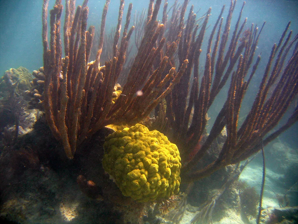 Key Largo, Florida
