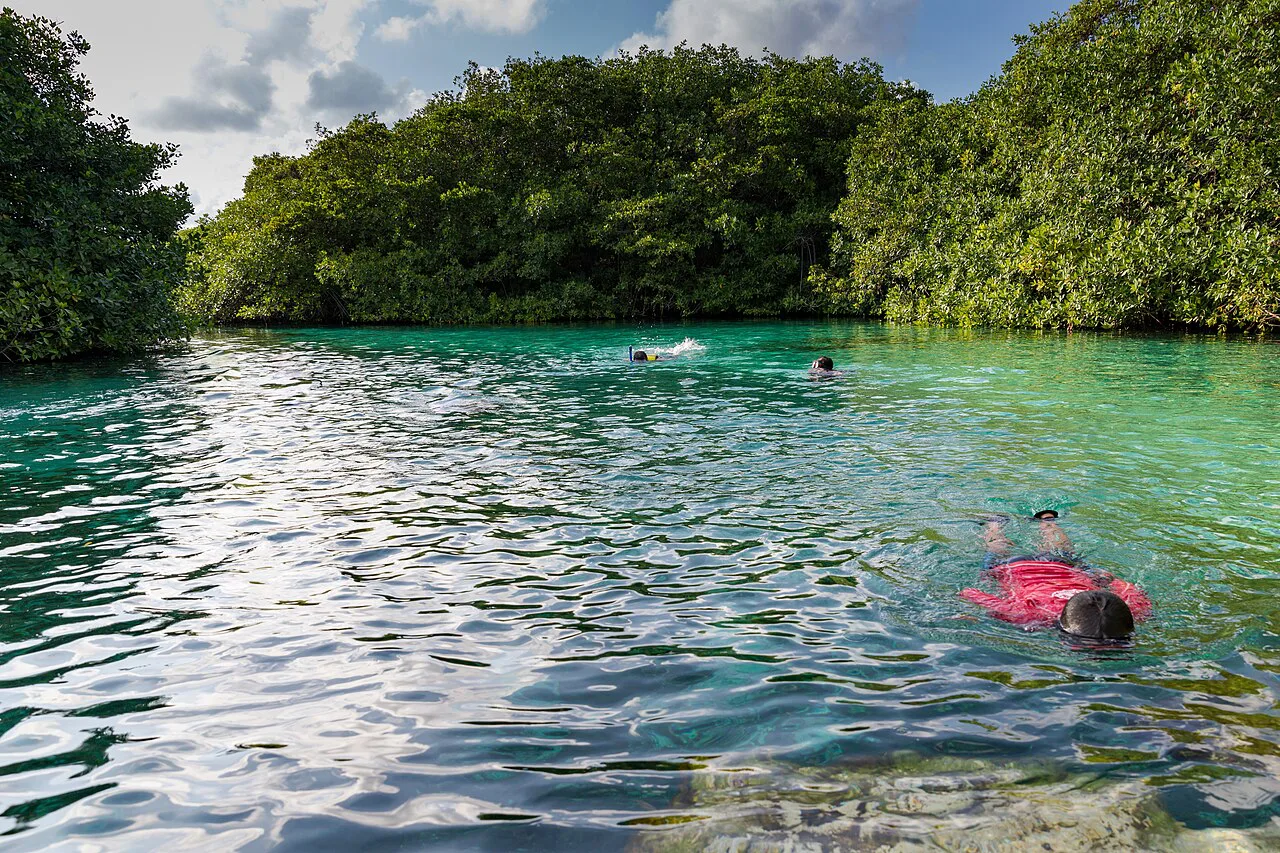 Snorkeling in Casa Cenote, Mexico, Playa del Carmen