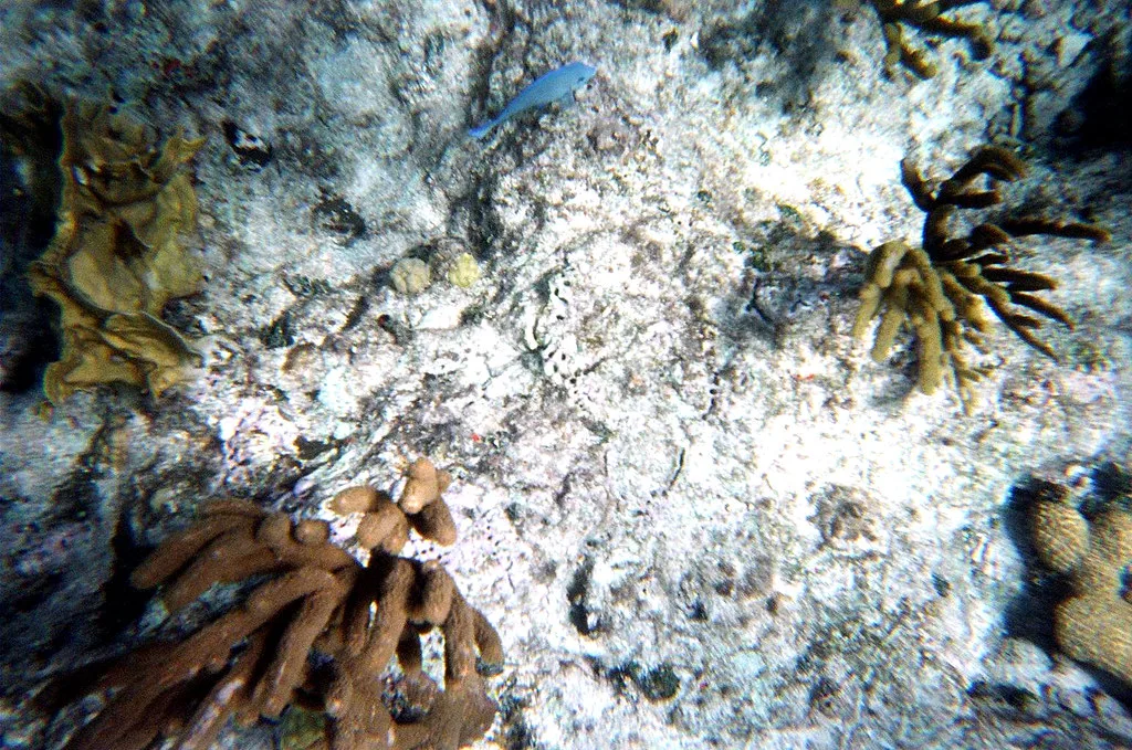 Bahamas, Bahamas