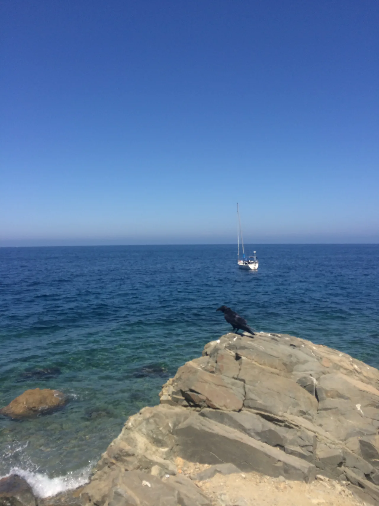 Santa Catalina, Catalina Island