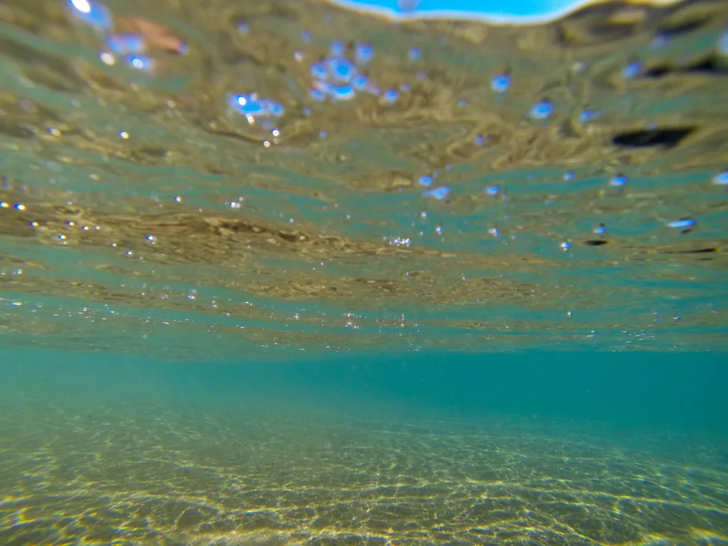 Channel Islands Snorkeling