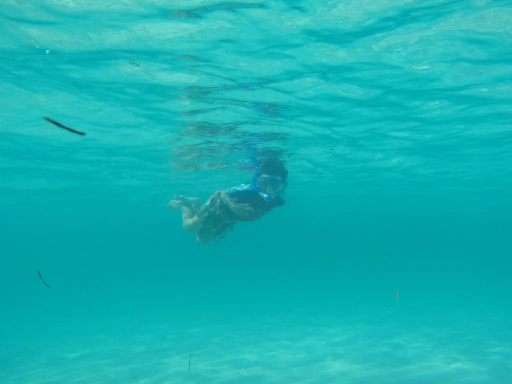 Bimini Snorkeling, Bahamas