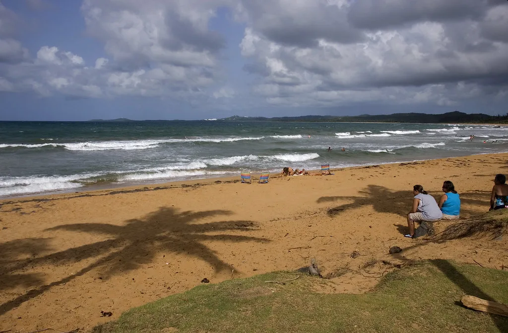 Palm shadows on a Puerto Rico beach