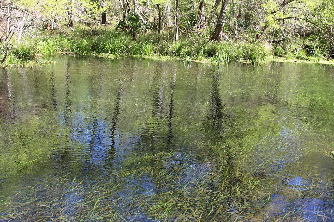 The Ichetucknee River, about an hour north of Devil's Den, Florida
