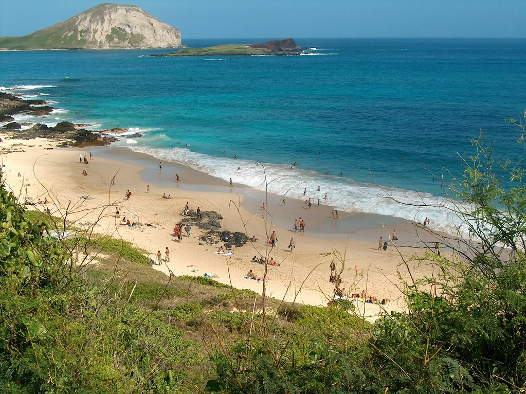 Oahu Beach from the road