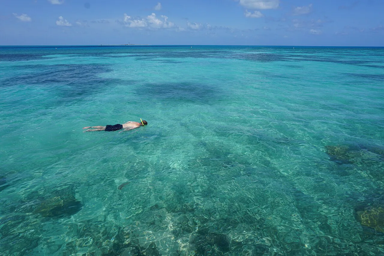 Snorkeling above corals at Dry Tortugas, Florida