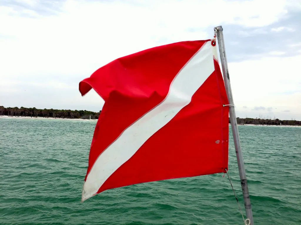 Snorkeling Egmont Key, St. Petersburg