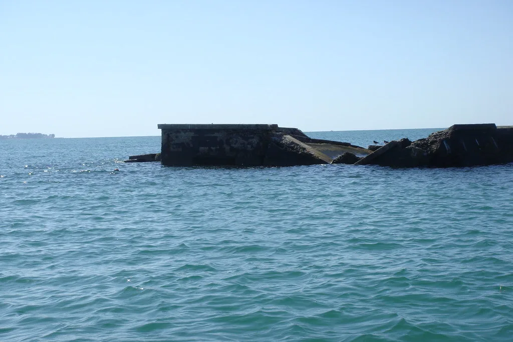 Snorkeling Spot Egmont Key, St. Petersburg