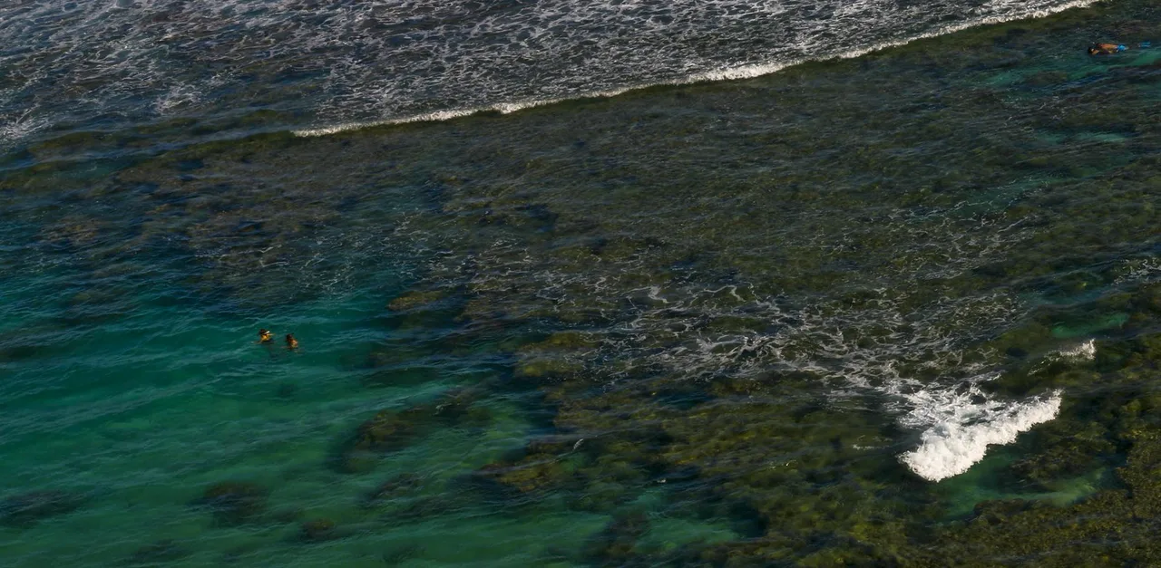 Snorkelers, Oahu