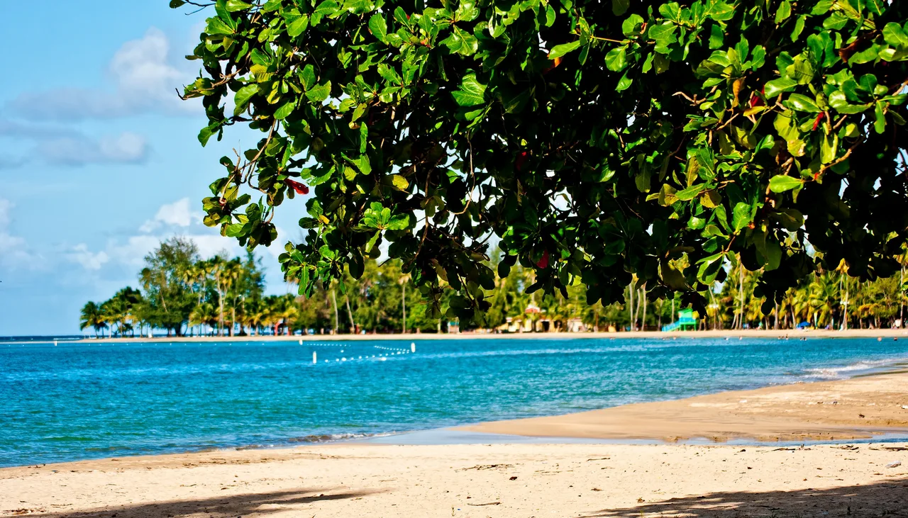 Puerto Rico(Luquillo)