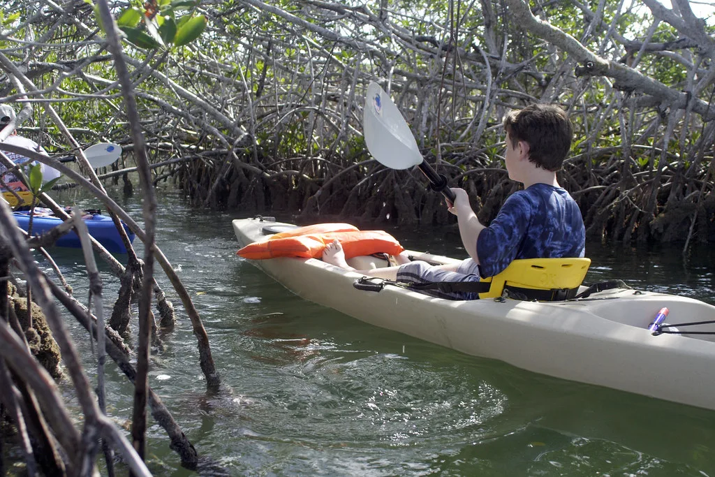Mosquito Coast Kayaking Tour, Florida