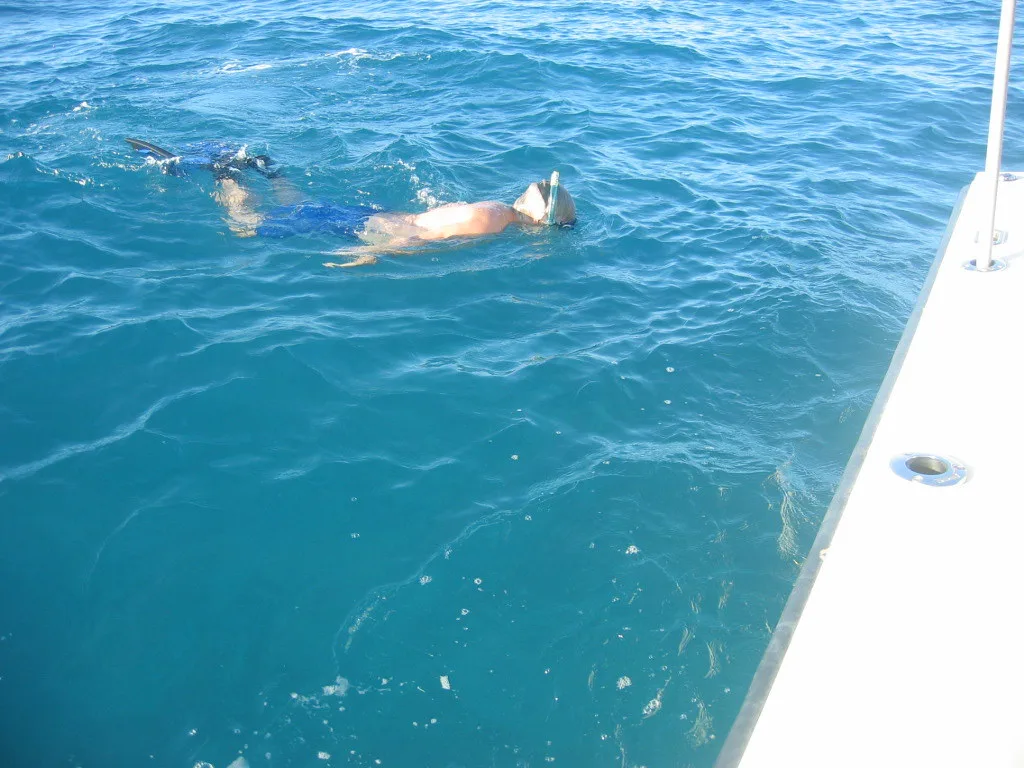 snorkeling, Florida