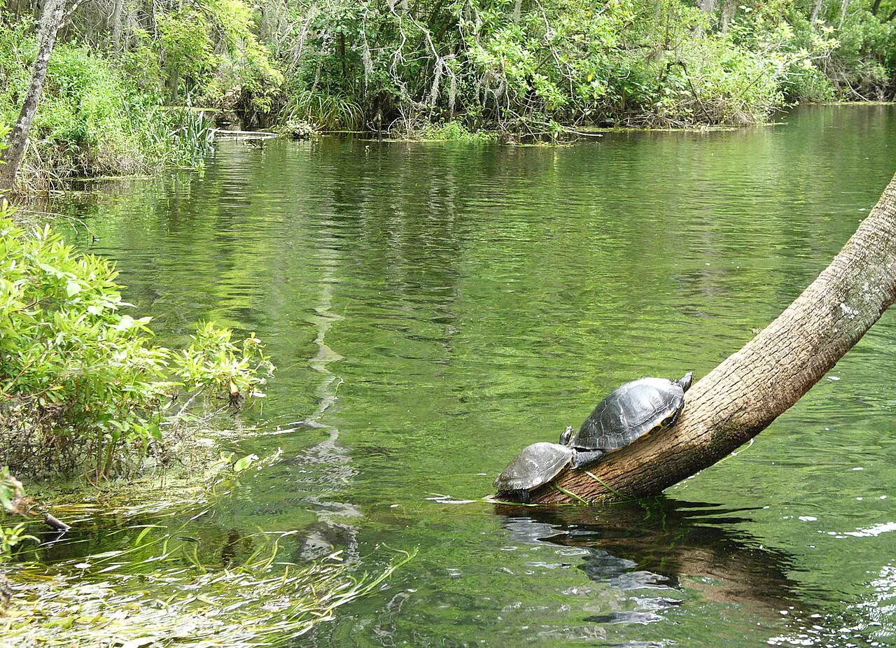 Wakulla Springs, Florida