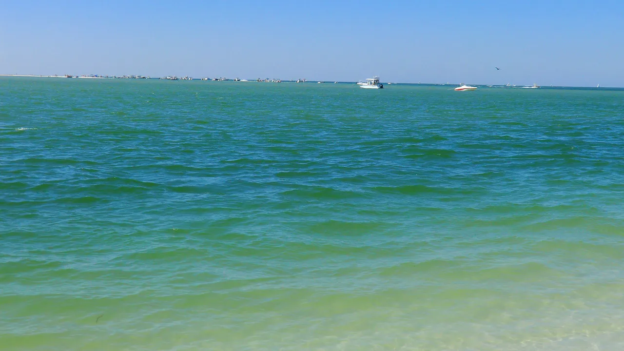 Gulf water off Fort De Soto Park, Florida, St. Petersburg