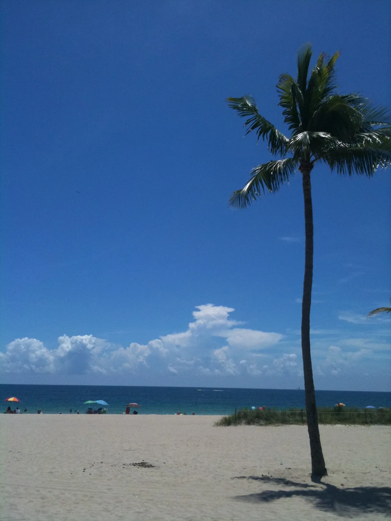 Fort Lauderdale Beach