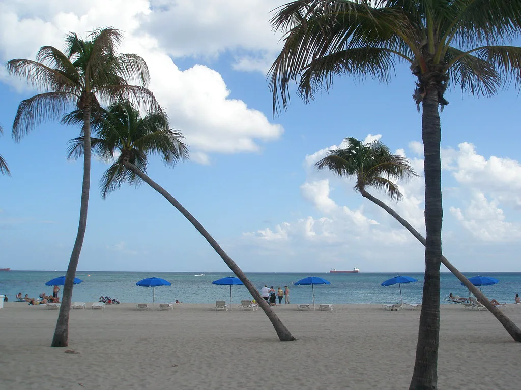 Palm trees and beach umbrellas, Fort Lauderdale, Florida