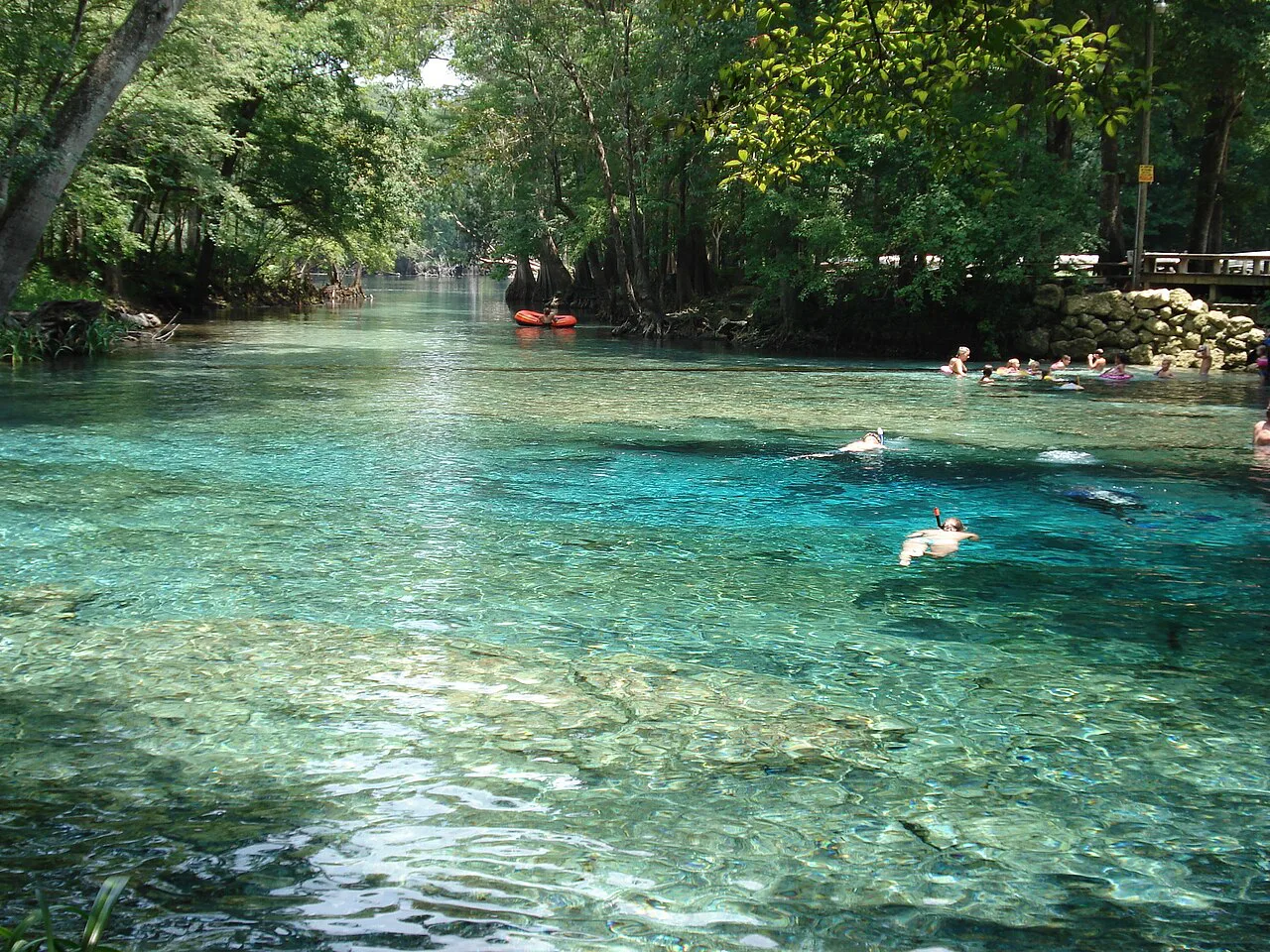 Swimmers in the clear spring run at Ginnie Springs, Florida