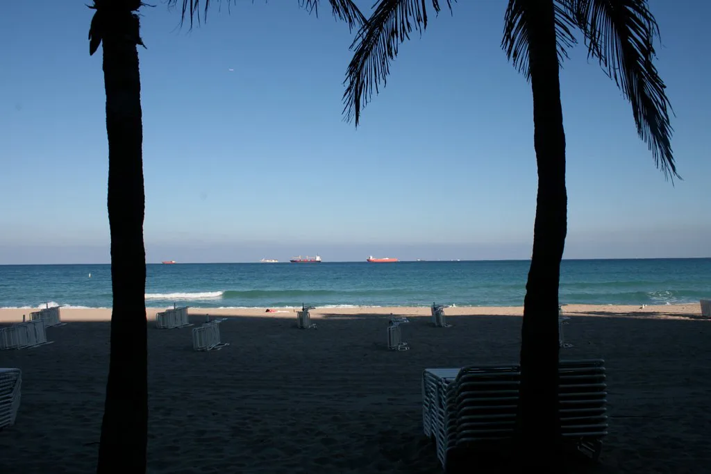 Palm silhouettes over the Atlantic near Fort Lauderdale, Florida