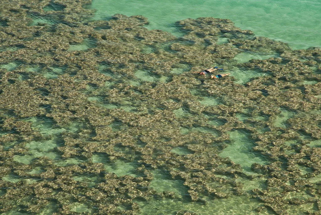 snorkeling, Oahu