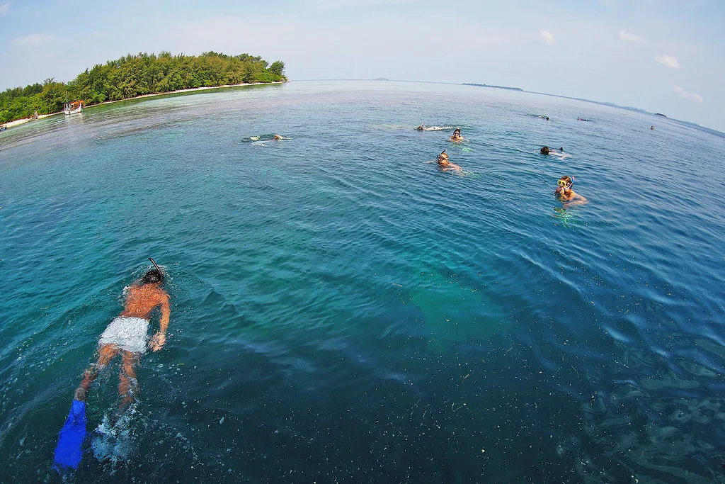 A group of people snorkeling near a small island
